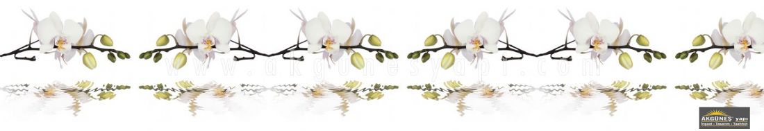 Beyaz-Orkide-Çiçeği-3D-Üç-Boyutlu-Mutfak-Tezgah-Arası-Cam