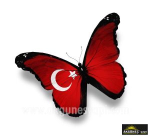 Kelebekli-Türk-Bayrağı-3D-Üç-Boyutlu-Duvar Kağıdı