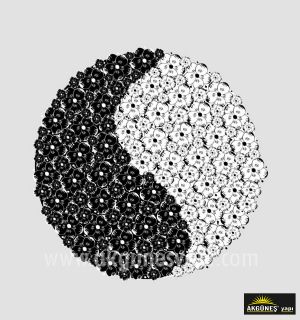 Siyah-Beyaz-Çiçekli-İyi-Kötü-Sembol-3D-Üç-Boyutlu-Duvar Kağıdı