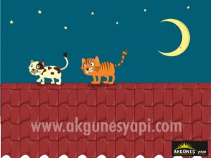 Kedi-Ay-Yıldız-3D-Üç-Boyutlu-Duvar Kağıdı