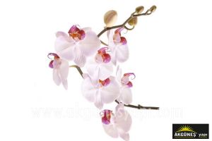Toz Pembe-Orkide-Çiçeği-3D-Üç-Boyutlu-Duvar Kağıdı